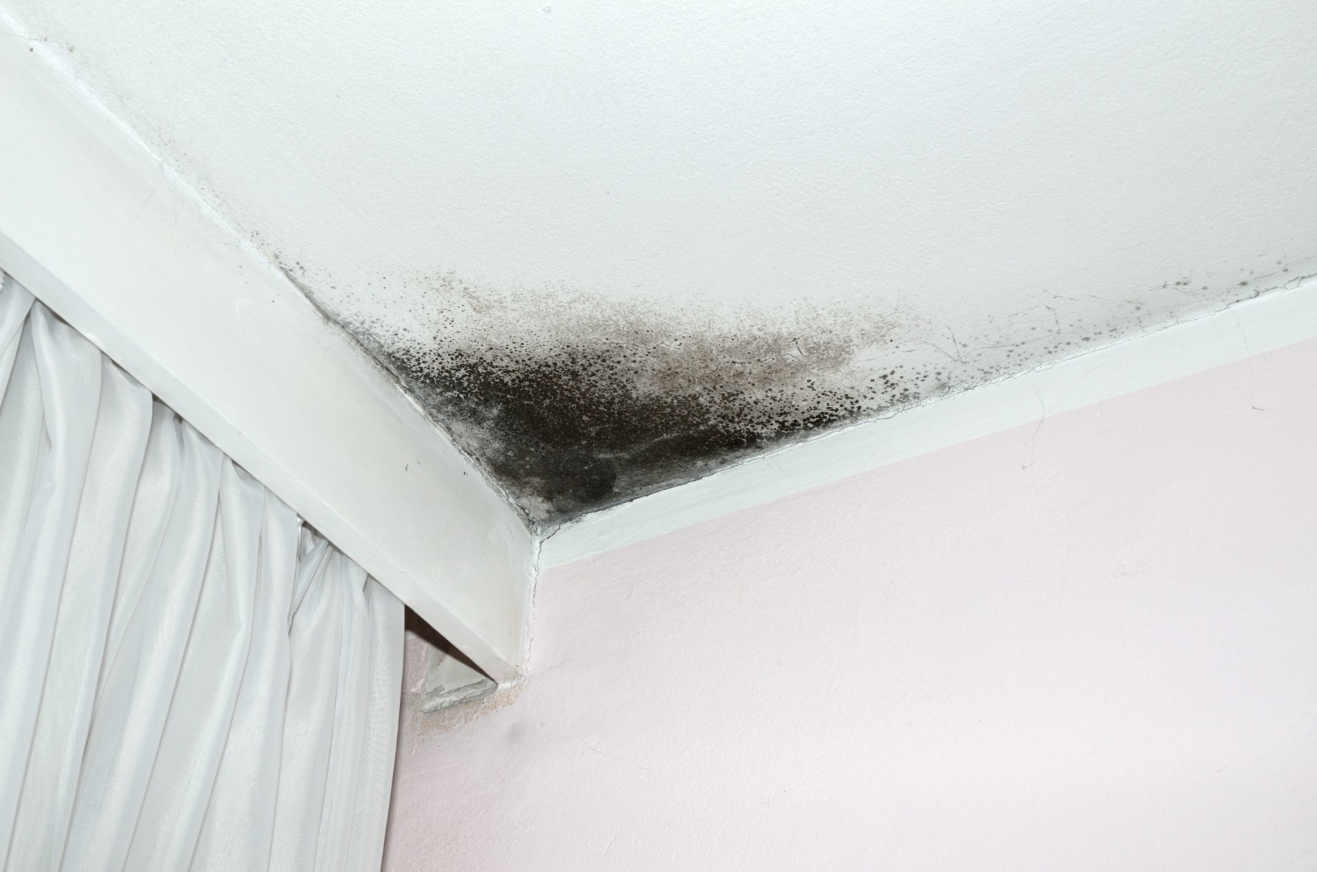 Hohe Luftfeuchtigkeit im Schlafzimmer trotz Lüften? 7 Gründe (+Lösungen)