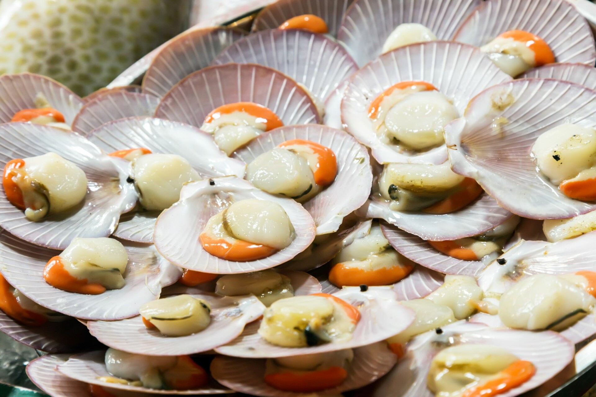 Wie lange halten sich Jakobsmuscheln im Kühlschrank? 6 wichtige Fakten