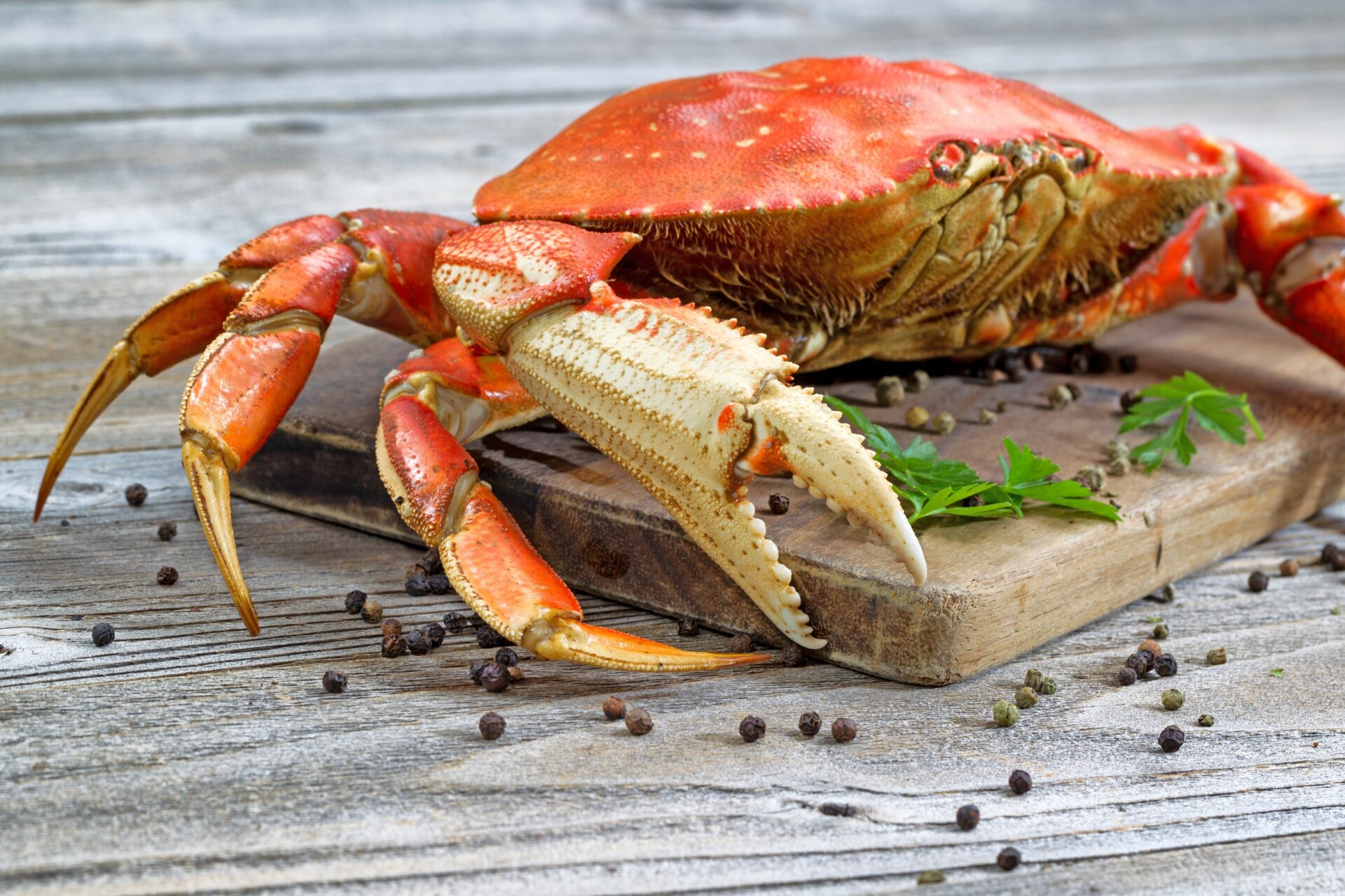 Wie lange halten sich frische Krabben im Kühlschrank? 6 wichtige Fakten