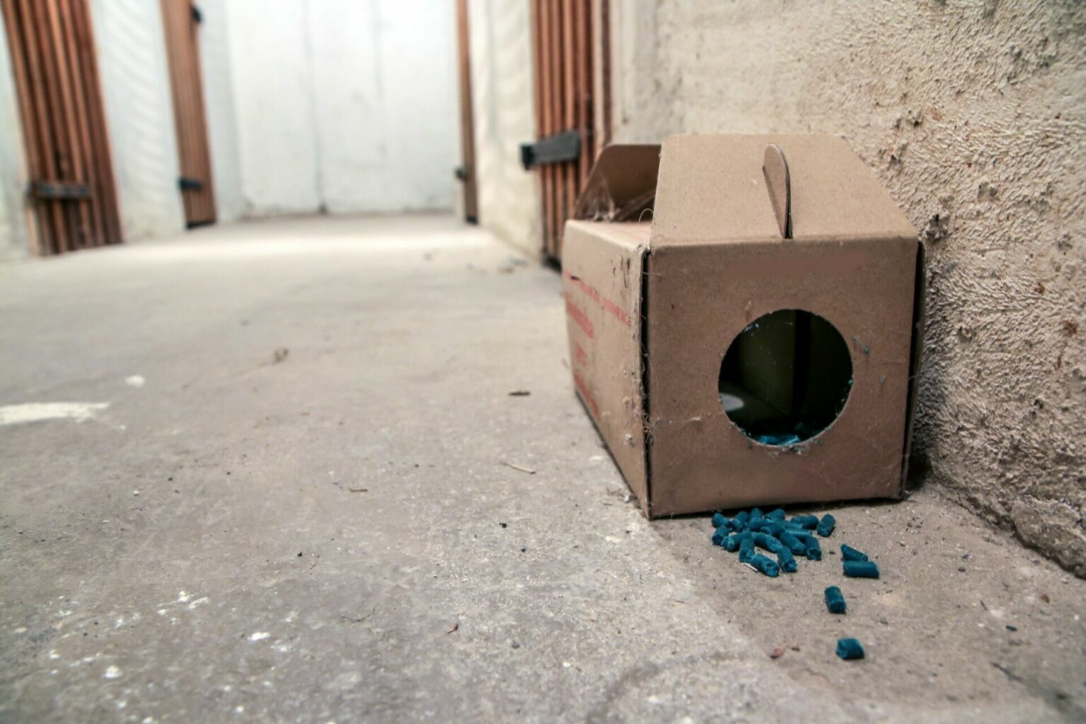 Darf der Vermieter den Garten verändern? 6 wichtige Fakten